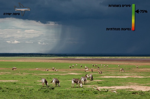 טנזניה בחציית נהר המארה בטיסה ישירה – המסלול האפקטיבי