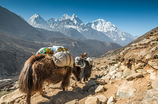 נפאל - טיול ג'יפים אל ממלכת מוסטנג בעת פסטיבל ״מגרשי השדים״