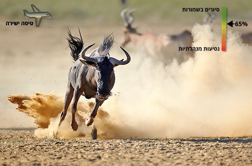 טנזניה בחציית נהר המארה בטיסה ישירה – המסלול האטרקטיבי