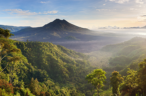 אינדונזיה - אל לב הארכיפלג, כולל האי פלורס בו חיים דרקוני קומודו