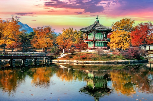 קוריאה הדרומית בשלכת