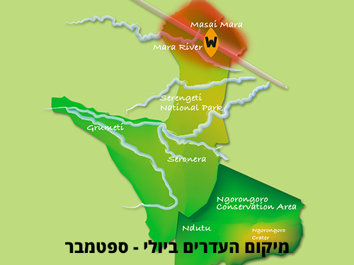 מפה של סרנגטי