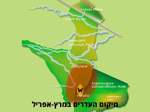 מפת סרנגטי עם דגש על חלקה הדרומי